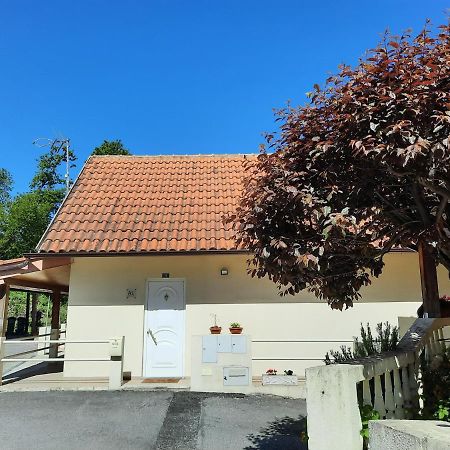 Casas Do Caminho Velho Daire Ribeira de Pena Dış mekan fotoğraf