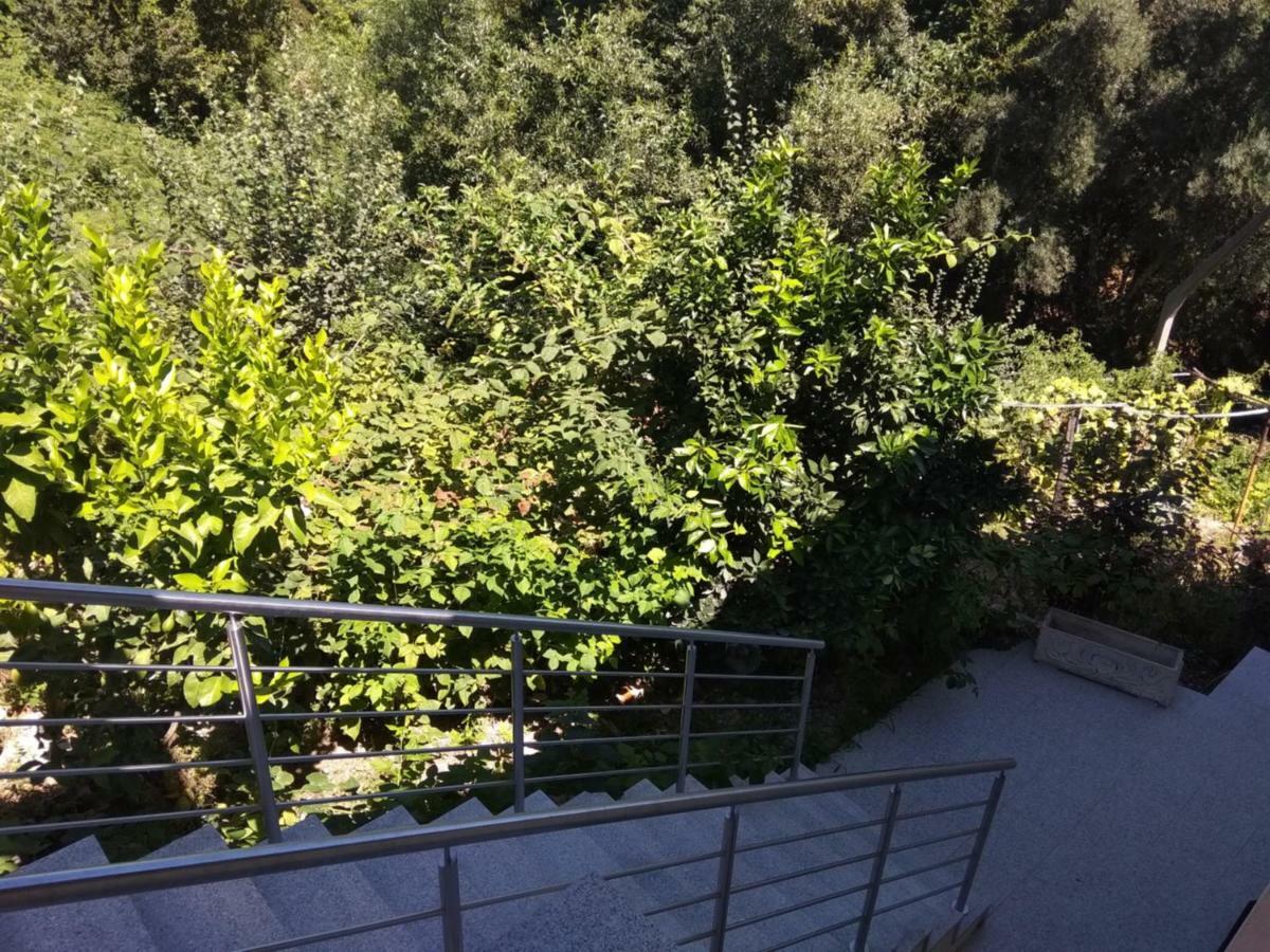 Casas Do Caminho Velho Daire Ribeira de Pena Dış mekan fotoğraf